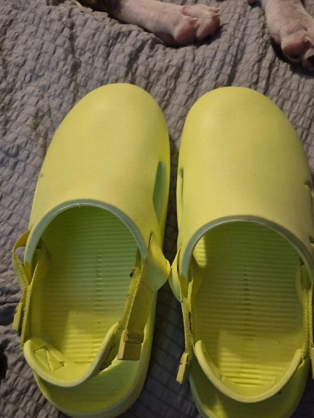 Nike Calm Mule Volt Lime Green.